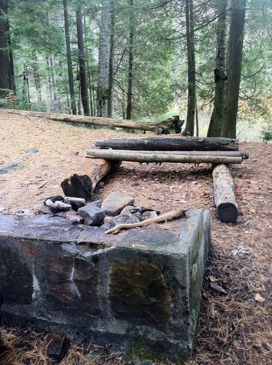 Forest campsite with log seating